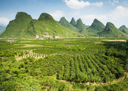 Typical landscape in Yangshuo Guilin, Chinaの写真素材