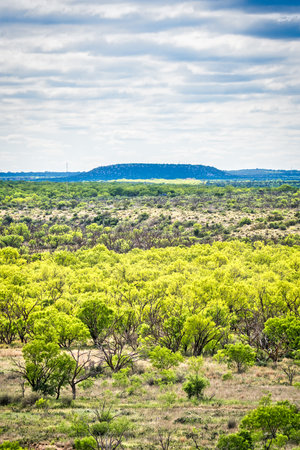 A picturesque landscape of rolling hills, lush grasslands and a distant horizon stretch across the natural beauty of San Angelo State Park in Texas.の写真素材