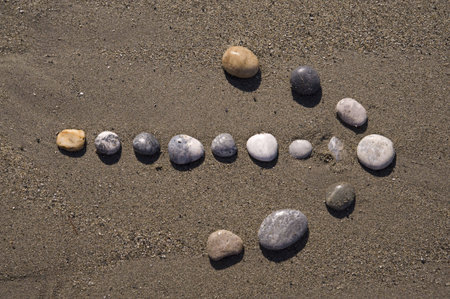 pointer on the beach sandの写真素材