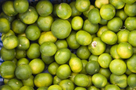 heap of mandarinesの写真素材