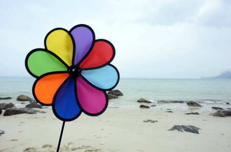color fan against the coastline background