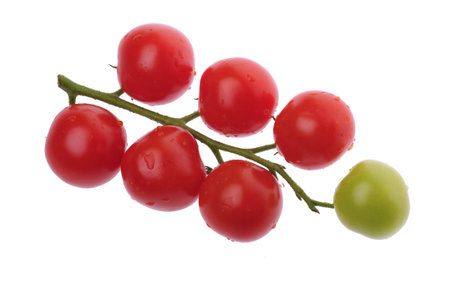 tomato branch isolated on whiteの写真素材