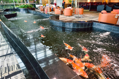 SINGAPORE - NOVEMBER 04, 2015: interior of Changi Airport. Singapore Changi Airport, is the primary civilian airport for Singapore, and one of the largest transportation hubs in Southeast Asiaのeditorial素材