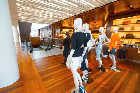 SINGAPORE - NOVEMBER 08, 2015: inside the Louis Vuitton store. Louis Vuitton is a French fashion...
