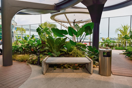 SINGAPORE - NOVEMBER 04, 2015: open air area of Changi Airport. Singapore Changi Airport, is the primary civilian airport for Singapore, and one of the largest transportation hubs in Southeast Asiaのeditorial素材