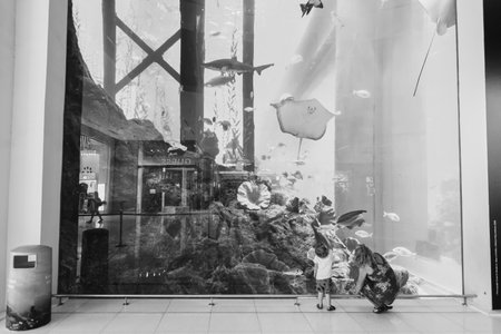 DUBAI - OCTOBER 15, 2014: interior of the Dubai Mall. The Dubai Mall located in Dubai, it is part of the 20-billion-dollar Downtown Dubai complex, and includes 1,200 shops.のeditorial素材