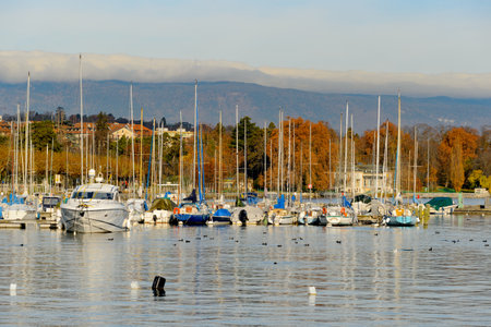 GENEVA, SWITZERLAND - NOVEMBER 19, 2015: view of Lake Geneva. Lake Geneva is a lake on the north side of the Alps, shared between Switzerland and Franceのeditorial素材