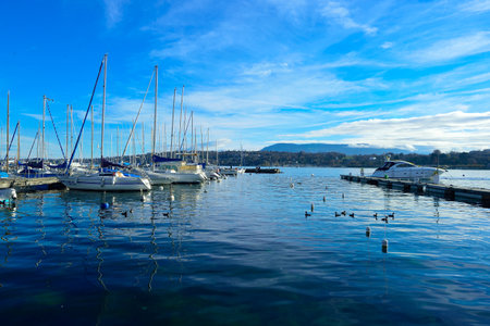 GENEVA, SWITZERLAND - NOVEMBER 19, 2015: view of Lake Geneva. Lake Geneva is a lake on the north side of the Alps, shared between Switzerland and Franceのeditorial素材