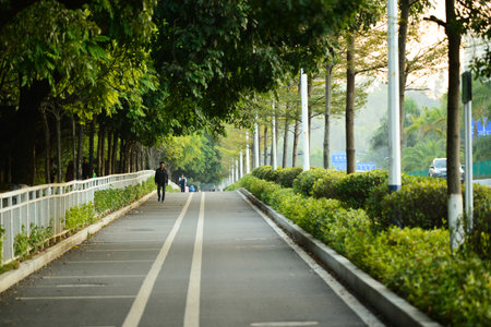 SHENZHEN, CHINA - JAN 16: city street in ShenZhen on January 16, 2015. ShenZhen is regarded as one...