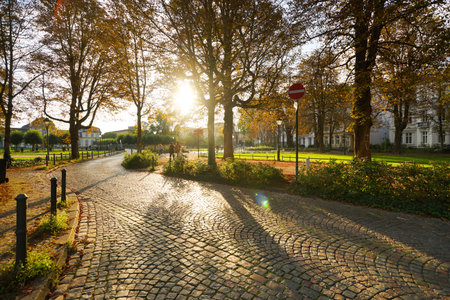 BONN - SEP 18: people walk in the park on September 18, 2014 in Bonn, Germany. Bonn officially the Federal City of Bonn, is a city on the banks of the Rhine in the German state of North Rhine-Westphalia.のeditorial素材
