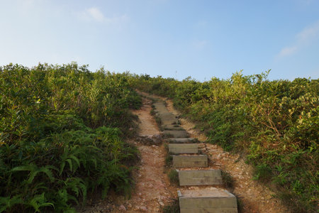 narrow trail on Hong Kong mountains