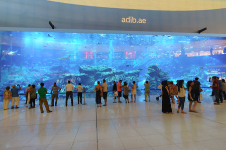 DUBAI - OCTOBER 15: The Dubai Mall linterior on October 15, 2014 in Dubai, UAE. The Dubai Mall located in Dubai, it is part of the 20-billion-dollar Downtown Dubai complex, and includes 1,200 shops.のeditorial素材
