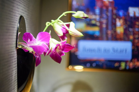 DUBAI, UAE - MARCH 31, 2015: interior details at Emirates Airbus A380. Emirates is one of two flag carriers of the United Arab Emirates along with Etihad Airways and is based in Dubai.のeditorial素材
