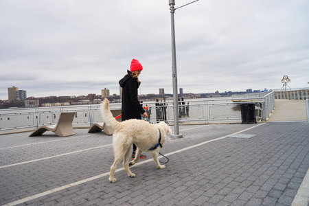 NEW YORK - CIRCA MARCH, 2016: outdoor lifestyle portrait of young woman with dog in New York. The...