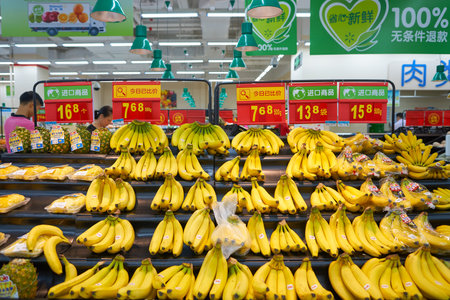 SHENZHEN, CHINA - CIRCA MAY, 2016: inside of Walmart store. Wal-Mart Stores, Inc. is an American multinational retail corporation that operates a chain of hypermarkets, discount department stores and grocery stores.のeditorial素材