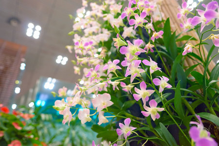 SINGAPORE - CIRCA AUGUST, 2016: garden inside of Changi Aiport. Changi Airport is the primary civilian airport for Singapore.のeditorial素材
