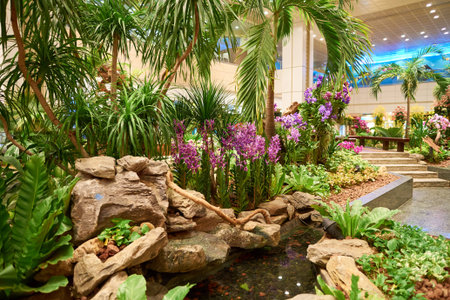 SINGAPORE - CIRCA AUGUST, 2016: inside of Singapore Changi Airport. Singapore Changi Airport is the primary civilian airport for Singapore, and one of the largest transportation hubs in Southeast Asia.のeditorial素材