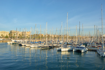 BARCELONA, SPAIN - NOVEMBER 20, 2015: Barcelona urban landscape in the morning. Barcelona is the capital city of the autonomous community of Catalonia in the Kingdom of Spain.のeditorial素材