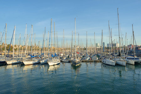 BARCELONA, SPAIN - NOVEMBER 20, 2015: Barcelona urban landscape in the morning. Barcelona is the capital city of the autonomous community of Catalonia in the Kingdom of Spain.のeditorial素材