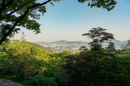 SEOUL, SOUTH KOREA - CIRCA MAY, 2017: Seoul city view from Namsan Mountain at daytime. Seoul Special City is the capital and largest metropolis of the Republic of Korea.のeditorial素材