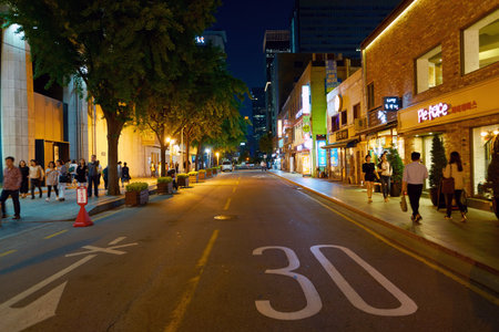 SEOUL, SOUTH KOREA - CIRCA MAY, 2017: Seoul urban landscape. Seoul Special City is the capital and largest metropolis of the Republic of Korea.のeditorial素材
