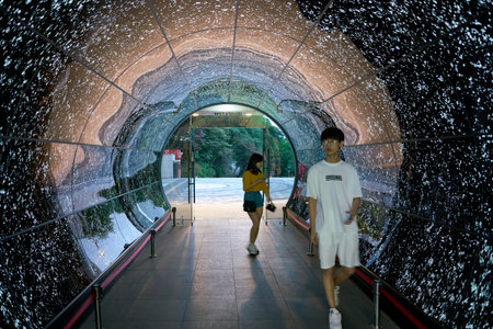 SEOUL, SOUTH KOREA - CIRCA JUNE, 2017: Namsan Seoul Tower 1F- OLED Tunnel. OLED panels are displayed all around the Namsan Seoul Tower from level 1 to 4.のeditorial素材
