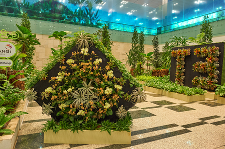 SINGAPORE - CIRCA NOVEMBER, 2015: inside Singapore Changi Airport.のeditorial素材