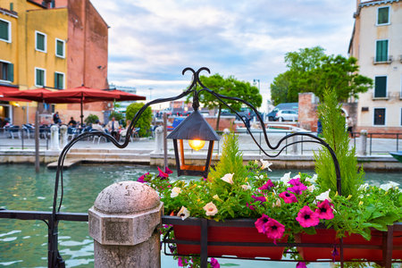 Flowers seen in Venice.の写真素材