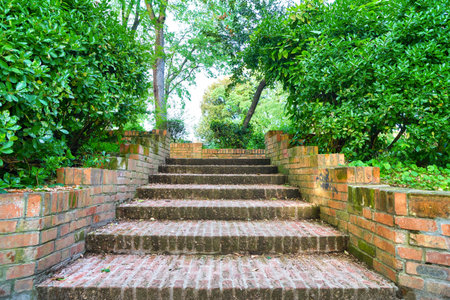 Park pathway seen in Venice at daytime.の写真素材