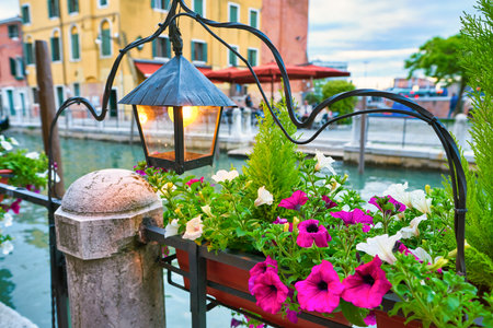 Flowers seen in Venice.の写真素材