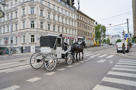 VIENNA, AUSTRIA - CIRCA MAY, 2019: a horse-drawn carriage seen in Vienna in the daytime.
