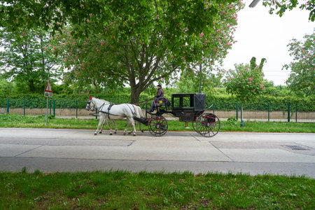 VIENNA, AUSTRIA - CIRCA MAY, 2019: a horse-drawn carriage seen in Vienna in the daytime.のeditorial素材