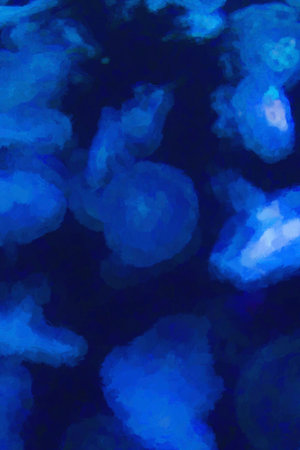 Image of Jellyfish in an aquarium exhibit. May be use like backgroundの写真素材