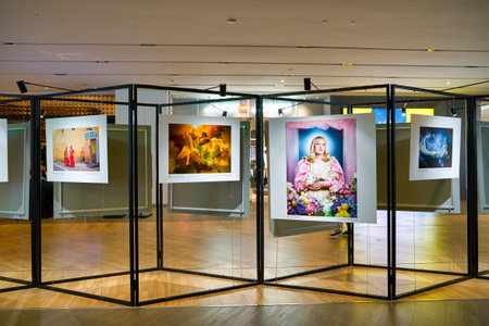SHENZHEN, CHINA - APRIL 21, 2019: Sony World Photography Awards winning works on dipslay at Sony Expo 2019 in Shenzhen.のeditorial素材