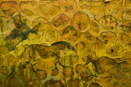 SHENZHEN, CHINA - CIRCA APRIL, 2019: images seen on a wall of tunnel at Gankeng Hakka Town in Shenzhen. Gankeng Hakka Town is a tourist attraction by OCT Group.のeditorial素材