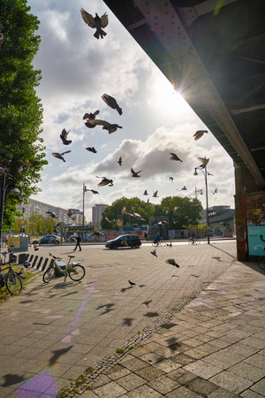 BERLIN, GERMANY - CIRCA SEPTEMBER, 2019: a flock of pigeons seen in Berlin in the daytime.のeditorial素材