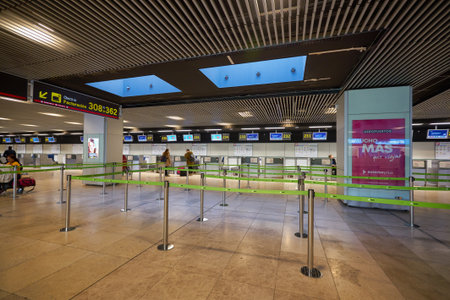 MADRID, SPAIN - CIRCA JANUARY, 2020: check-in area at Madrid-Barajas Airport, the main airport of Madrid.のeditorial素材