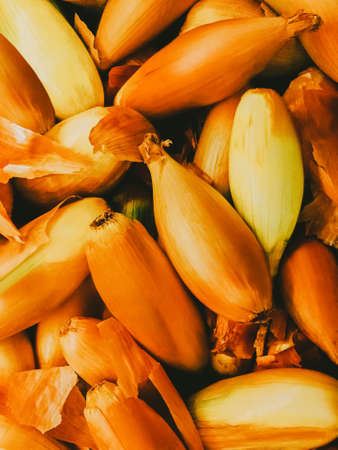 Shallotte onion Top view photo in close upの写真素材