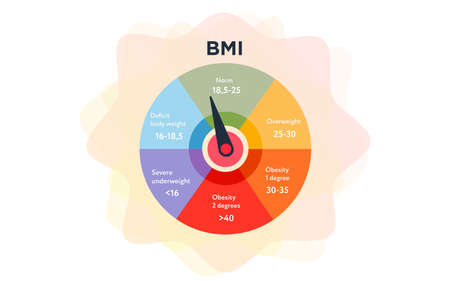 BMI scale Meter. vector illustration. Colorful infographic obese chart on white backgroundのイラスト素材