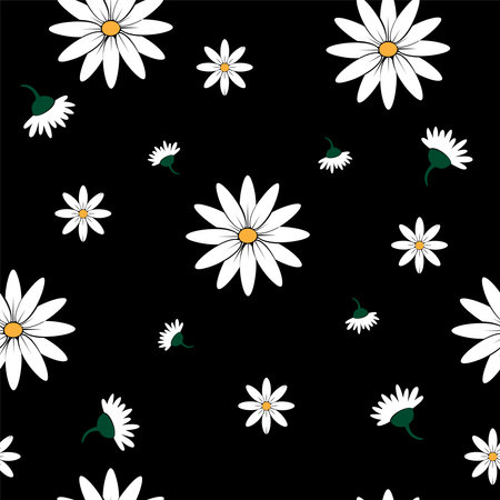 Vector seamless daisy pattern. Lush buds and petals chamomile on black backgroundのイラスト素材