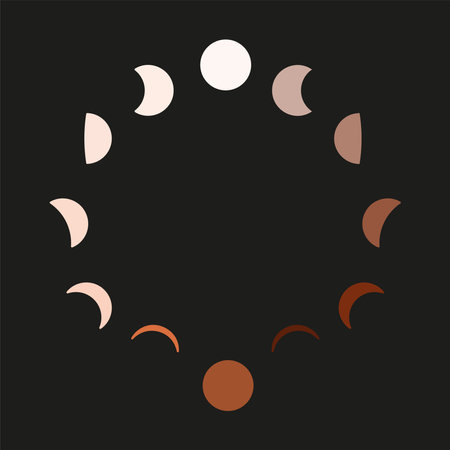 Moon phases in circle. vector silhouette illustration. Multicolored astronomy icon set isolated on...