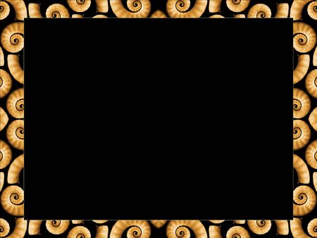 Spiral Shell Frameの写真素材