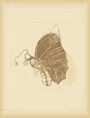 sketch of a mechanic insect のイラスト素材