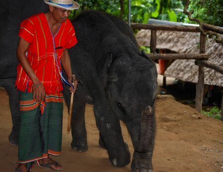 Elephant Show, Phuket, Thailandのeditorial素材