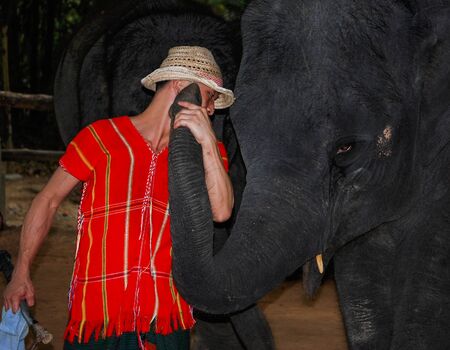 Elephant Show, Phuket, Thailandのeditorial素材