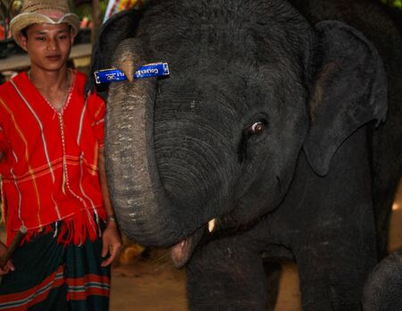 Elephant Show, Phuket, Thailandのeditorial素材