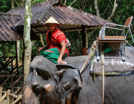 Siam Safari Elephant Mahouts, Phuket, Thailandのeditorial素材