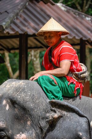 Elephant handler, Phuket, Thailand.のeditorial素材