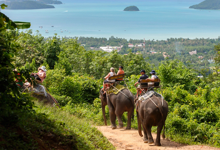 Elephant rides in Phuket, Thailand.のeditorial素材