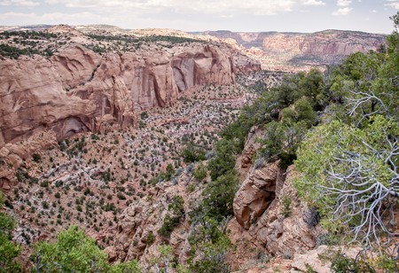 Navajo National Monumentの写真素材